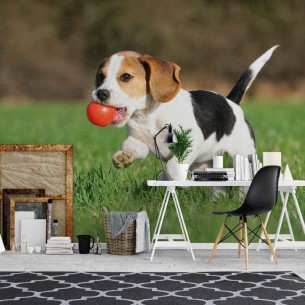 Painel Fotográfico Beagle...