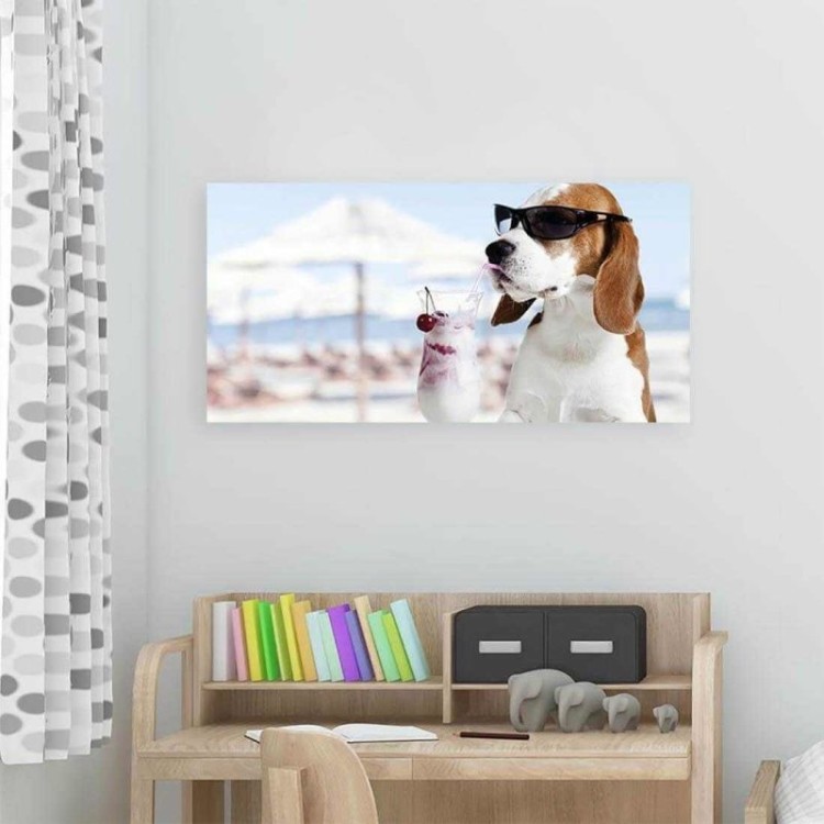 Painel Fotográfico Beagle na praia
