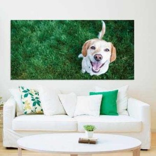 Painel Fotográfico Cachorro...