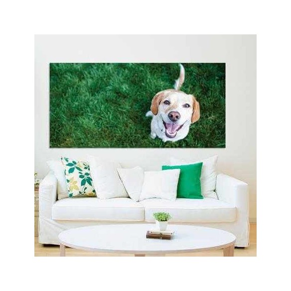Painel Fotográfico Cachorro Feliz