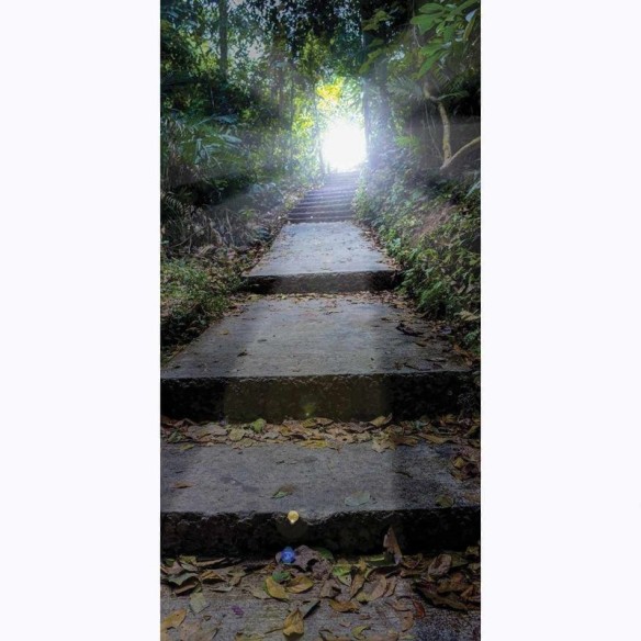 Painel Fotográfico Caminhando para a Luz