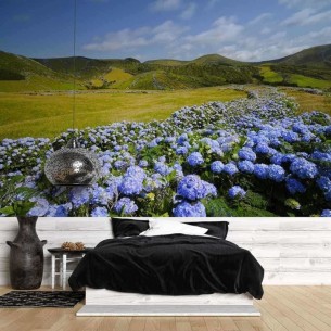 Painel Fotográfico Campo em...