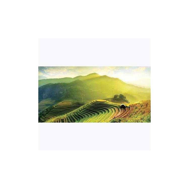 Painel Fotográfico Campos arroz Vietnã
