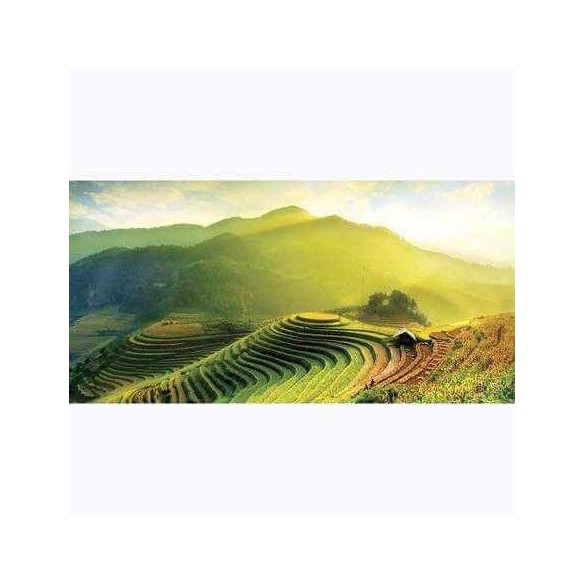 Painel Fotográfico Campos arroz Vietnã