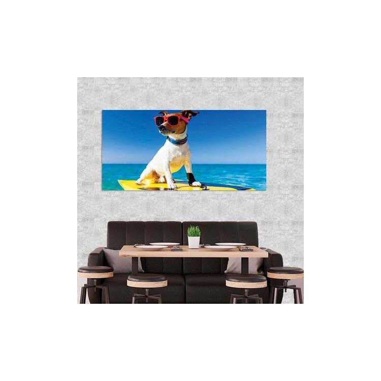 Painel Fotográfico Cão com Óculos de Sol