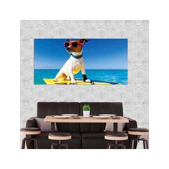Painel Fotográfico Cão com Óculos de Sol