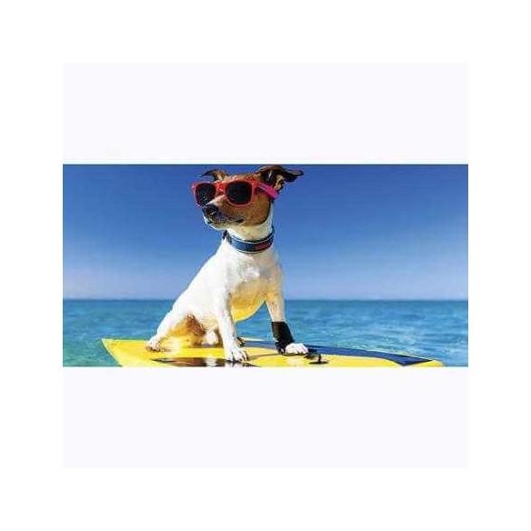 Painel Fotográfico Cão com Óculos de Sol