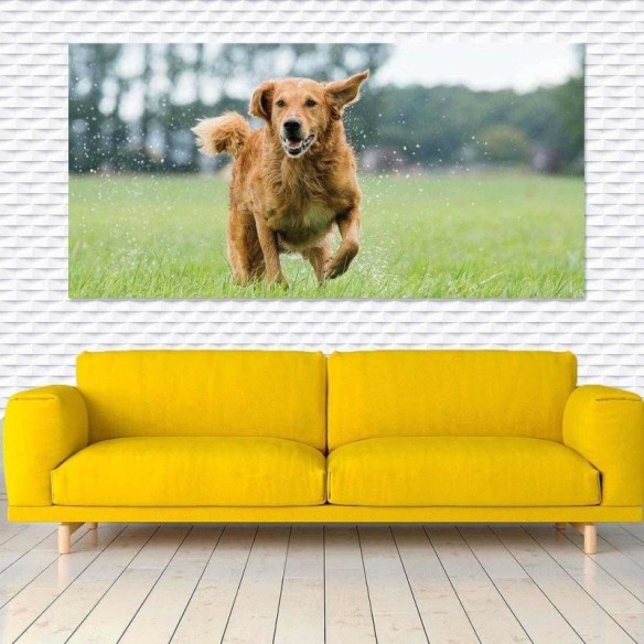 Painel Fotográfico Cão Correndo