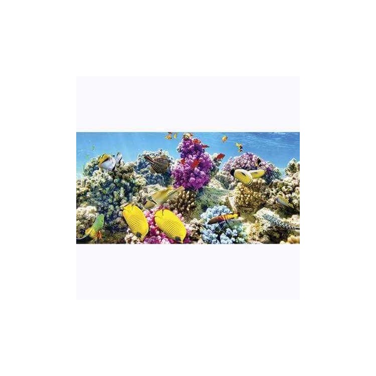 Painel Fotográfico Corais peixes Tropicais