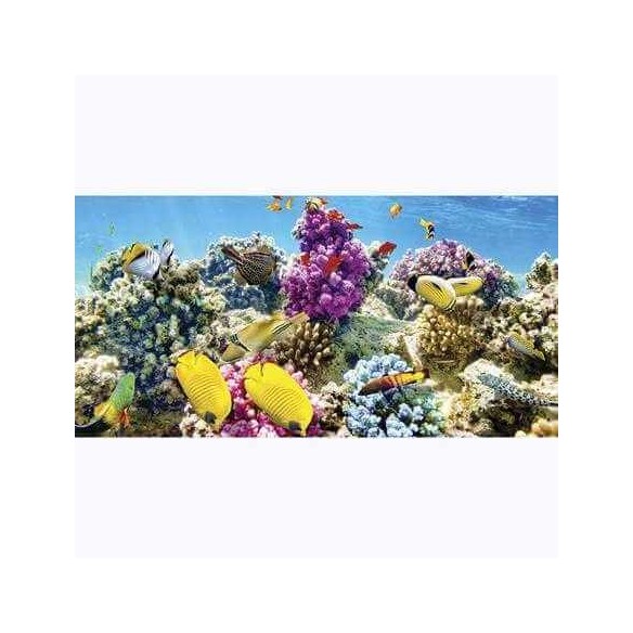 Painel Fotográfico Corais peixes Tropicais