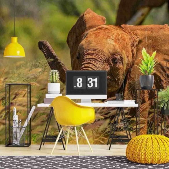 Painel Fotográfico Elefante no Quênia