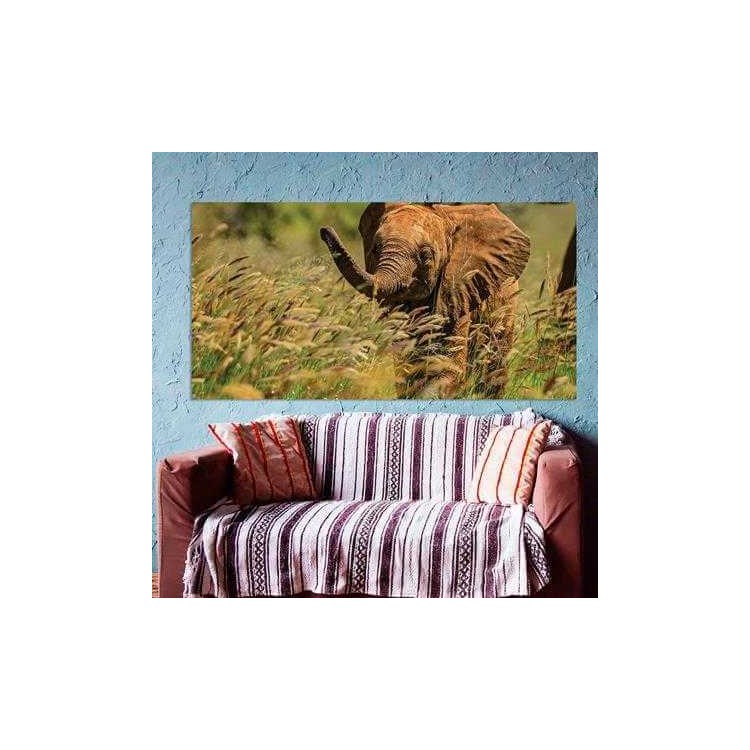 Painel Fotográfico Elefante no Quênia