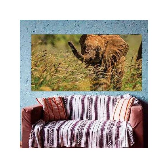 Painel Fotográfico Elefante no Quênia