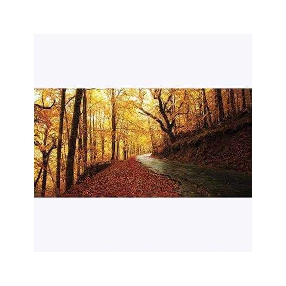 Painel Fotográfico Estrada com Folhas coloridas de Outono