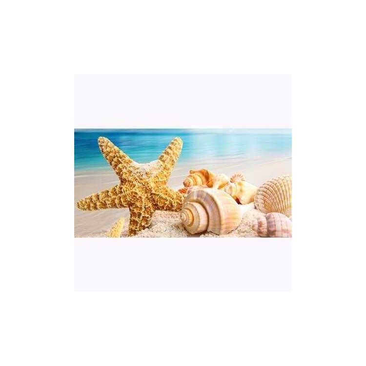 Painel Fotográfico Estrela do Mar 6082755