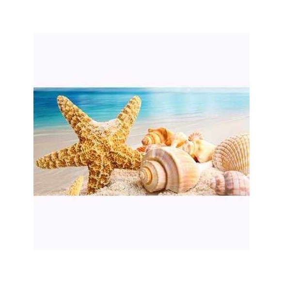 Painel Fotográfico Estrela do Mar 6082755