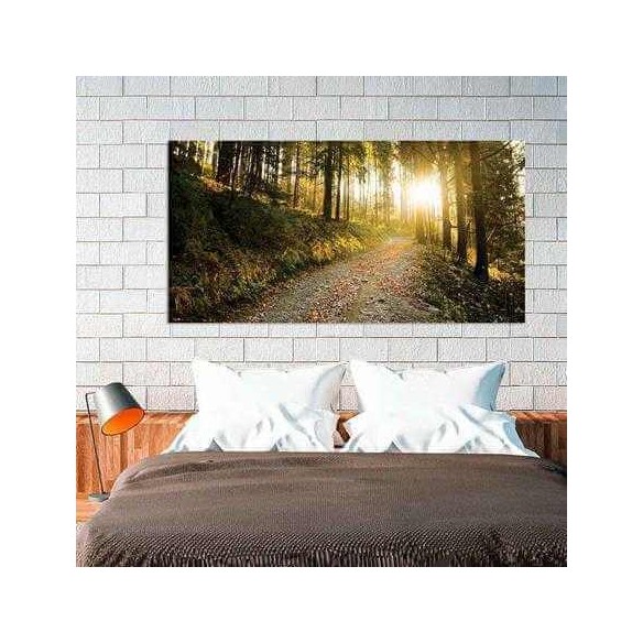 Painel Fotográfico Floresta da Montanha