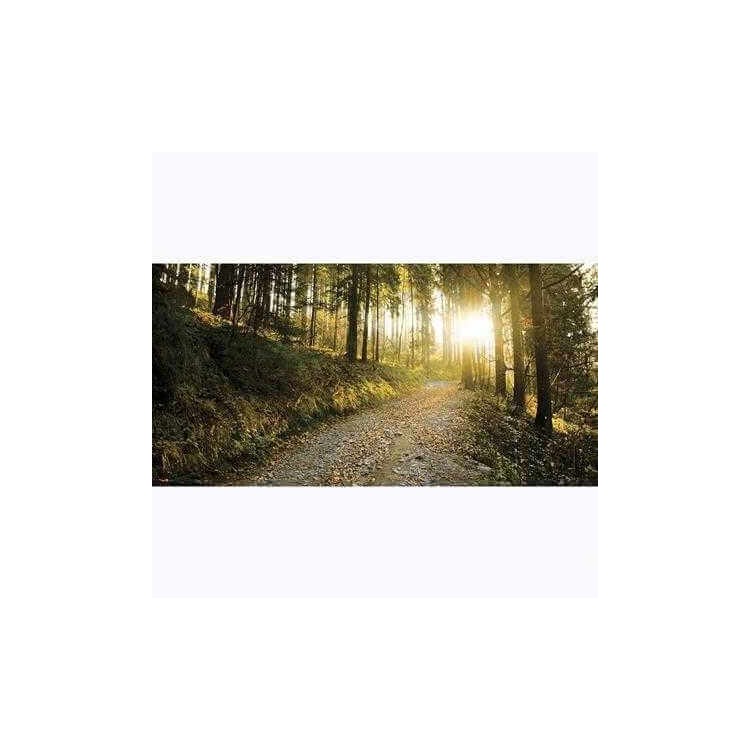 Painel Fotográfico Floresta da Montanha