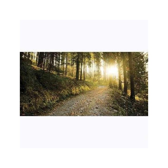 Painel Fotográfico Floresta da Montanha