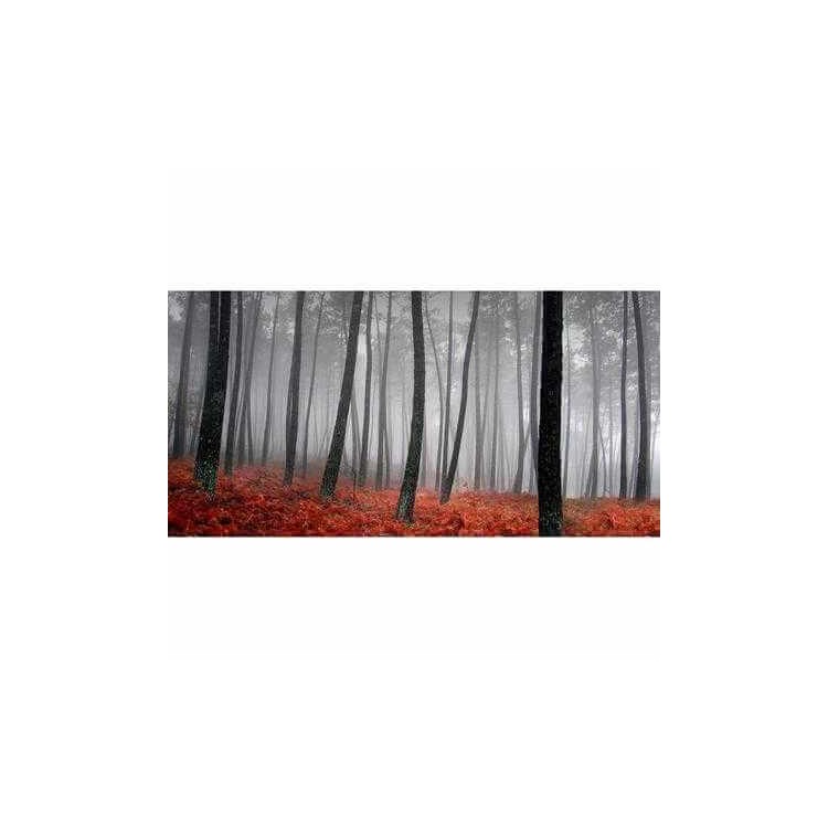 Painel Fotográfico Floresta Folhas Outono 8436919