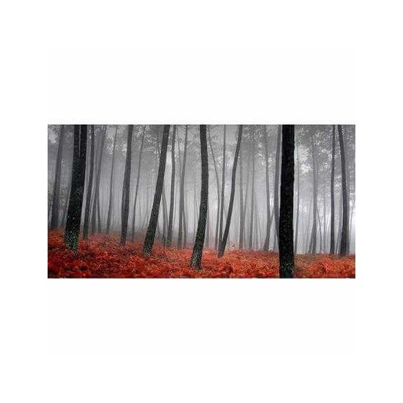 Painel Fotográfico Floresta Folhas Outono 8436919