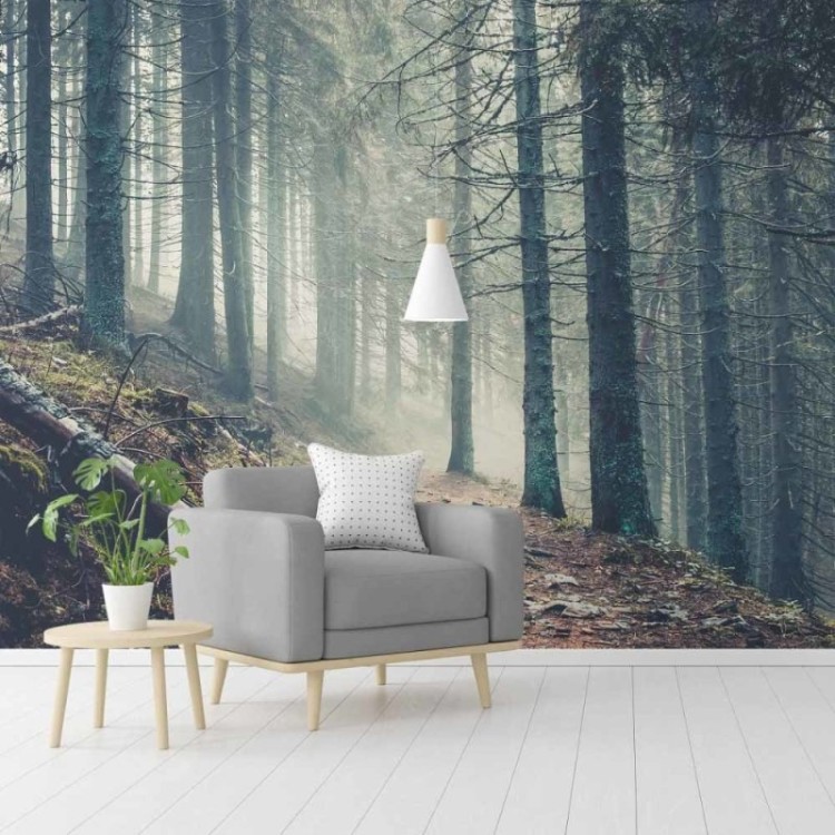 Painel Fotográfico Floresta N015289