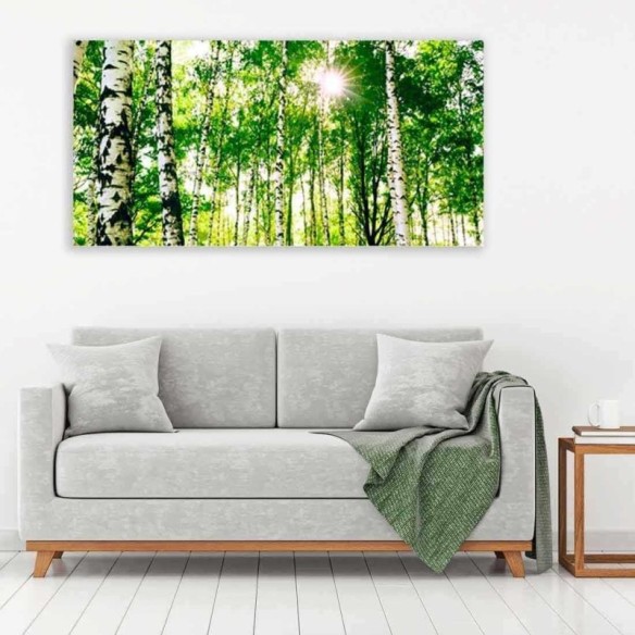 Painel Fotográfico Floresta Natureza 6457456