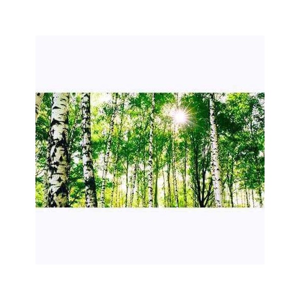 Painel Fotográfico Floresta Natureza 6457456