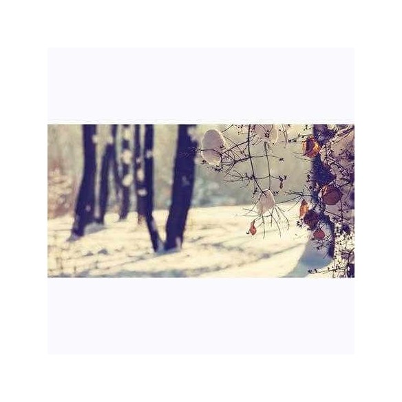 Painel Fotográfico Floresta no Inverno