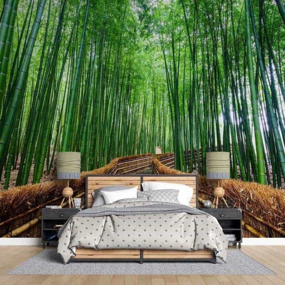 Painel Fotográfico Floresta no Japão
