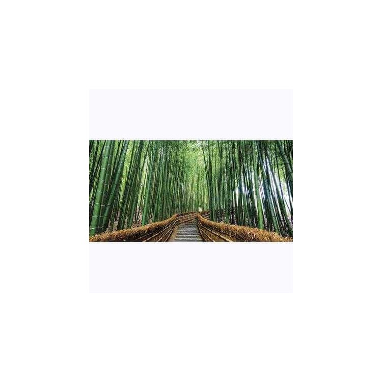 Painel Fotográfico Floresta no Japão