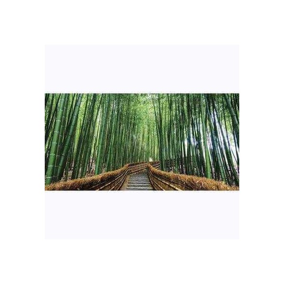 Painel Fotográfico Floresta no Japão