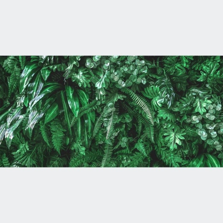 Painel Fotográfico Folhas Tropicais N016116