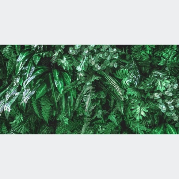 Painel Fotográfico Folhas Tropicais N016116