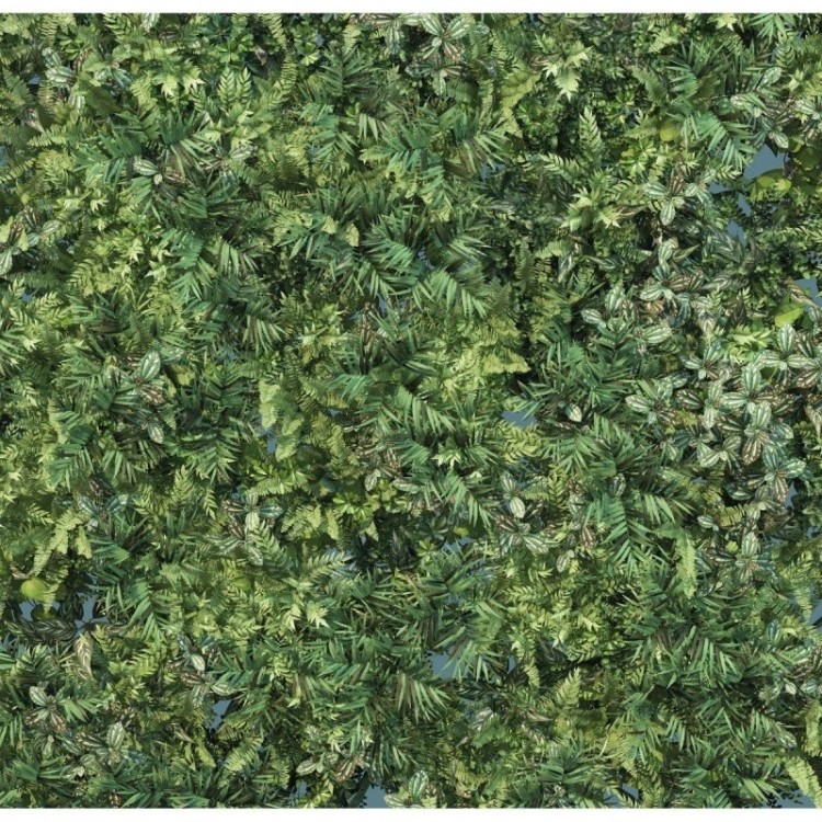 Painel Fotográfico Folhas Verdes N016104