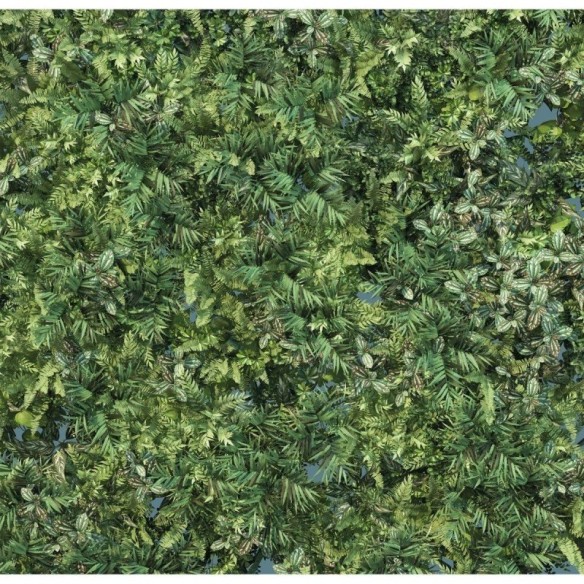Painel Fotográfico Folhas Verdes N016104