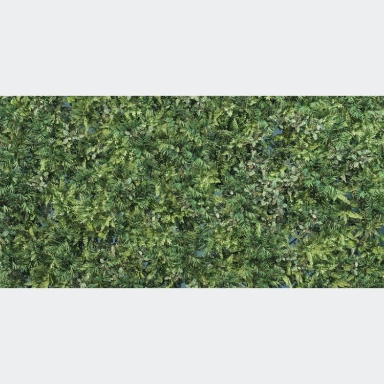 Painel Fotográfico Folhas Verdes N016104