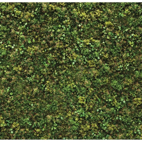 Painel Fotográfico Folhas Verdes N016105