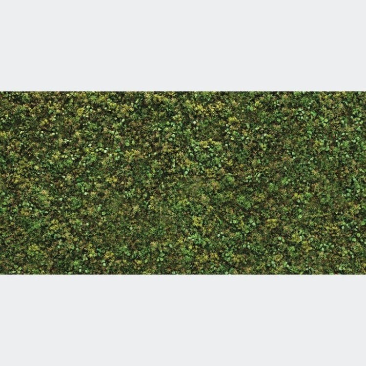 Painel Fotográfico Folhas Verdes N016105
