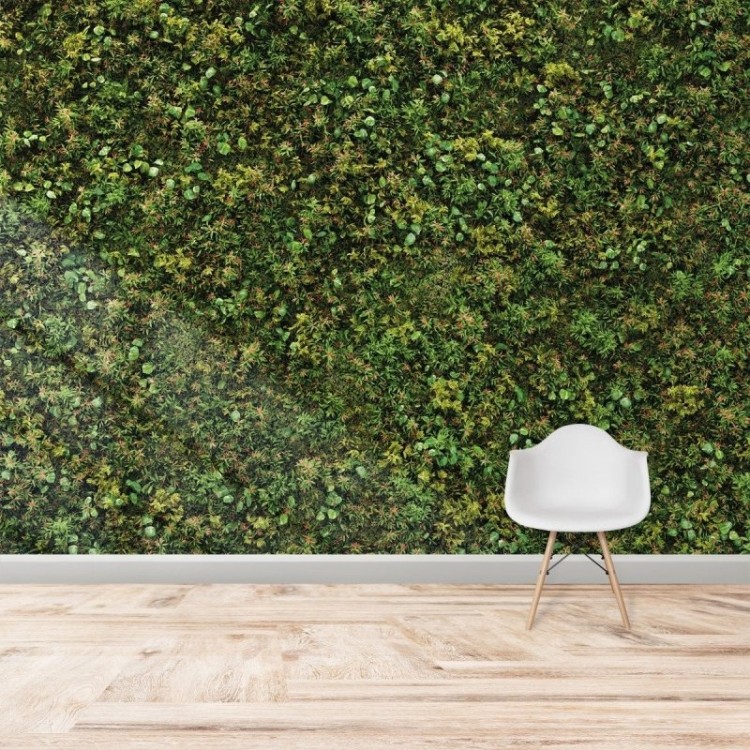 Painel Fotográfico Folhas Verdes N016105