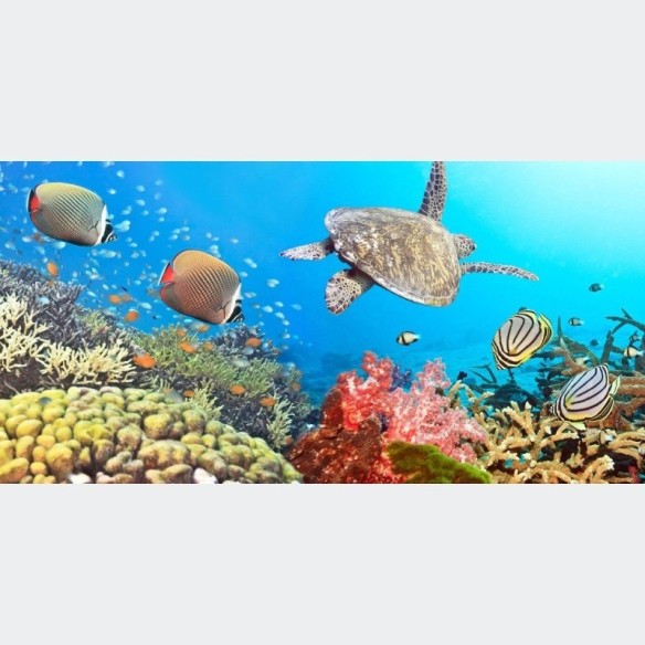 Painel Fotográfico Fundo Do Mar N012174
