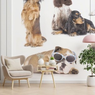 Painel Fotográfico Gatos e...