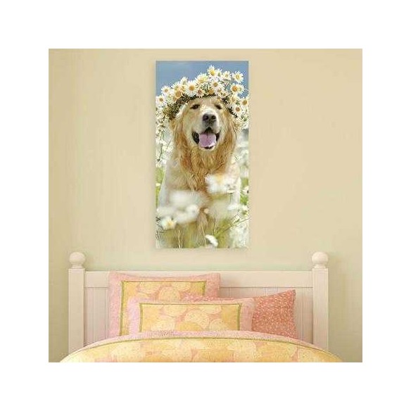 Painel Fotográfico Golden Retriever