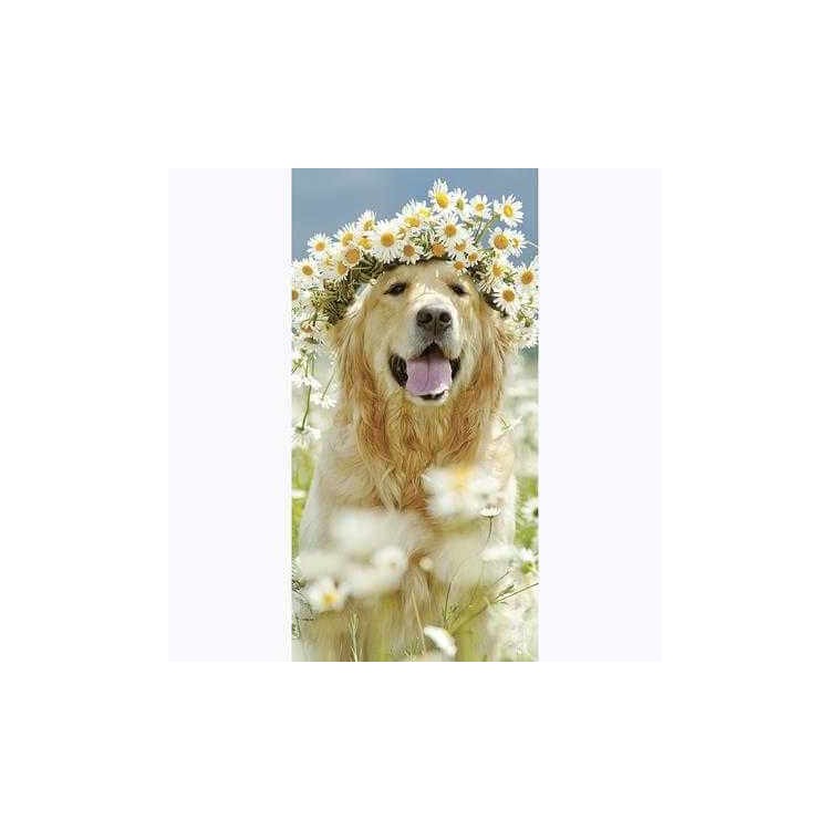 Painel Fotográfico Golden Retriever