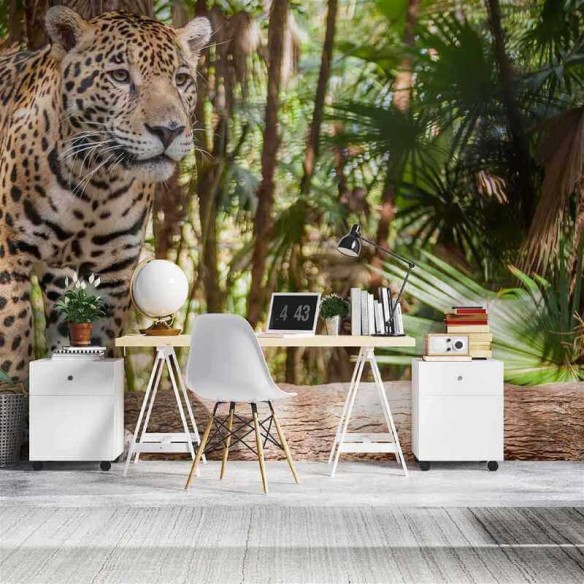 Painel Fotográfico Jaguar em Belize