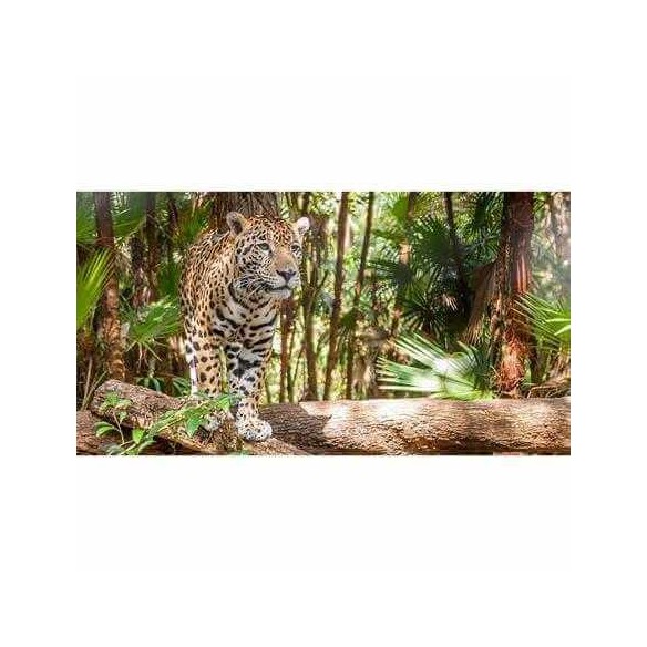 Painel Fotográfico Jaguar em Belize