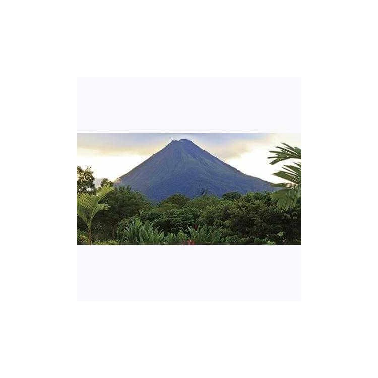 Painel Fotográfico Jardim costa Rica