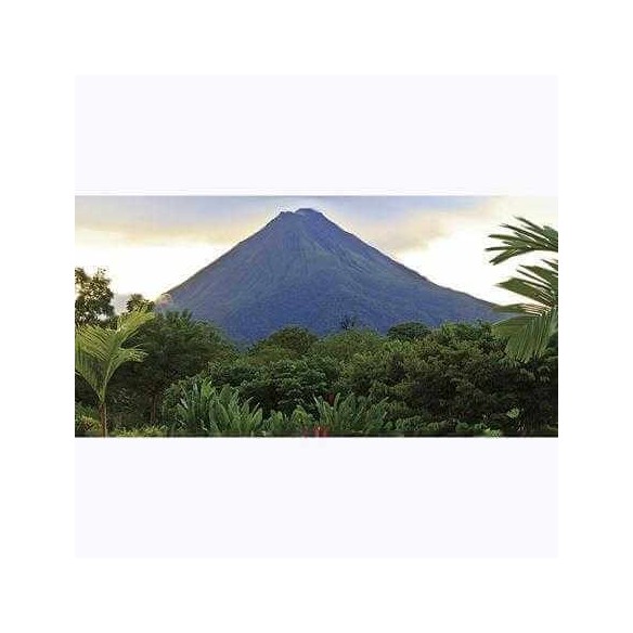 Painel Fotográfico Jardim costa Rica