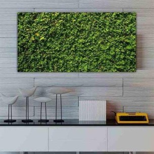 Painel Fotográfico Jardim...