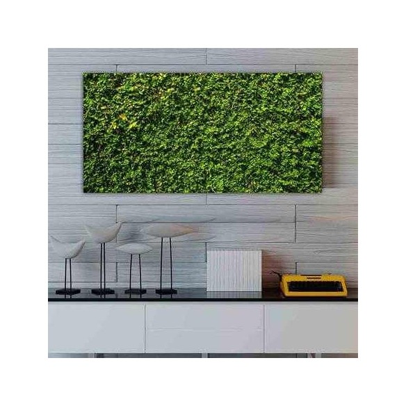 Painel Fotográfico Jardim Grama Verde 174448205